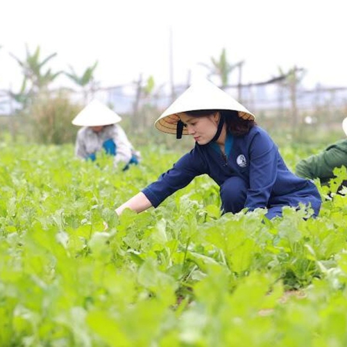 Xu Hướng Khởi Nghiệp Mới Của Start -Up Nghệ An